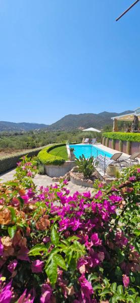 Cuccumiao's An Owls' quiet nest! Loiri Porto San Paolo